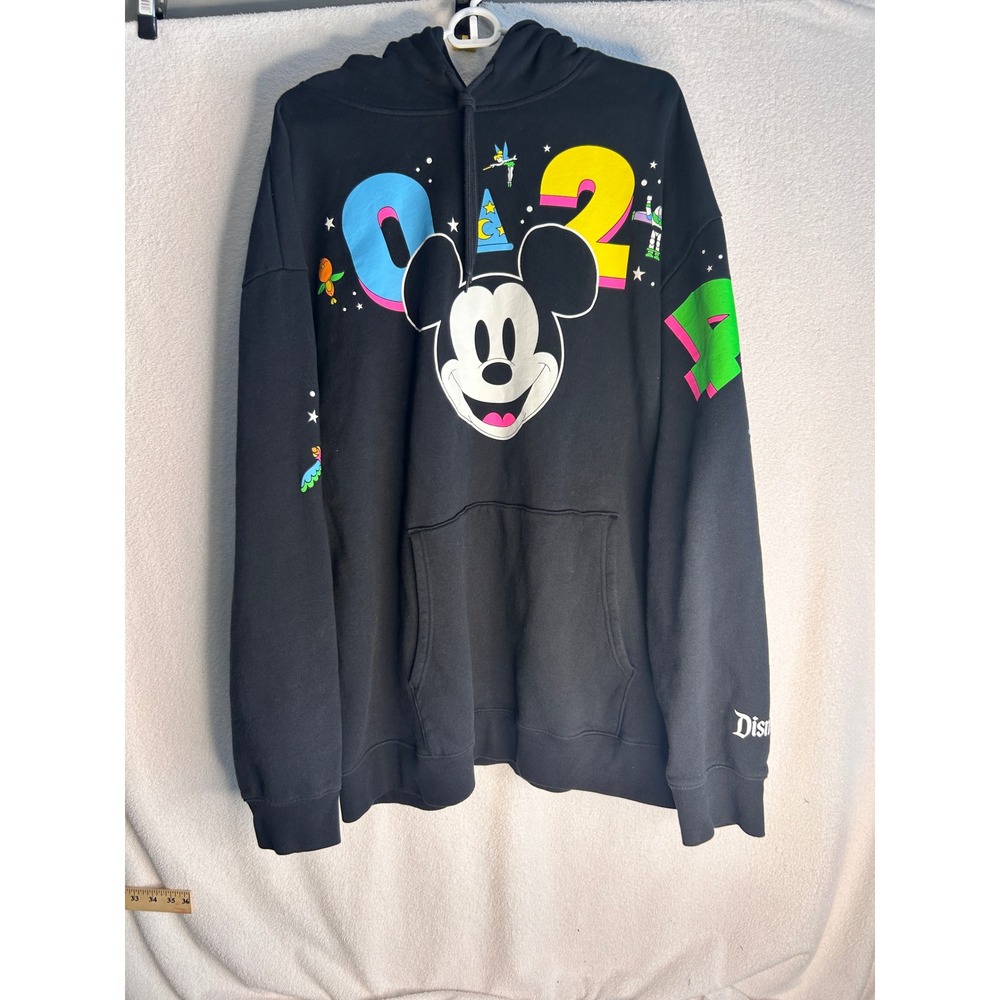 Disneyland Resort Mickey Mouse 2024 Black Pullover Hoodie 3XL Buzz Dumbo Tink
